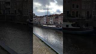 Den Bosch Netherlands #shorts #ytshorts