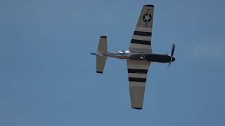 Quicksilver P-51D Mustang Aerobatics