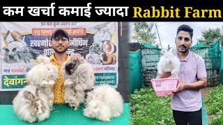 कम खर्चा में ज्यादा कमाई Rabbit Farming से | Rabbit Farming Business Plane #rabbit #rabbitfarming