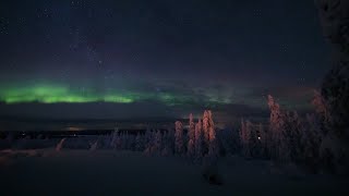 LIVE: Beautiful northern lights from Lapland Finland!