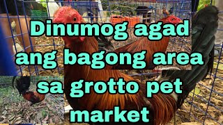 Dinumog agad ang bagong area sa grotto pet market.