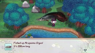 Story of Seasons Friends Of Mineral Town | Catching All Guardian Fish!!