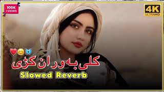 Kali Ba Oraan Krray(Slowed_ Reverb) Pashto New Song Pashto New Songs 2023