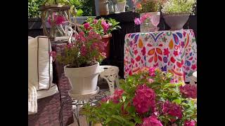 JULY GARDEN TOUR IN THE PERGOLA | Pink Hydrangeas, Petunias , Cosmos , Zinnias , Roses & Twinspur 🌸