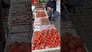 langsung dari kebun 🍓🍓