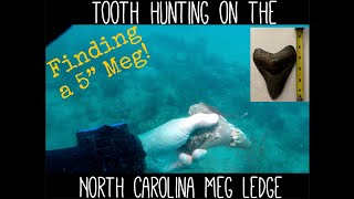 Diving the Meg Ledge for the first time - Shark Tooth Diving in North Carolina