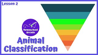 Animal Classification