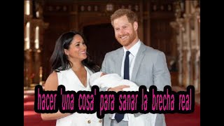 El príncipe Harry y Meghan Markle piden una cosa para sanar la brecha real​