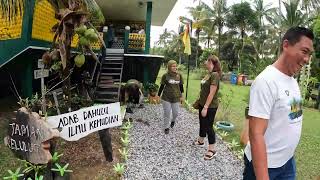 Rumah Terbalik Niranur Agrofarm Sematan / Madu Kelulut / UpSide Down House Sematan