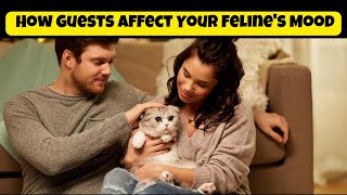 How Guests Affect Your Feline's Mood | Cats Knowhow