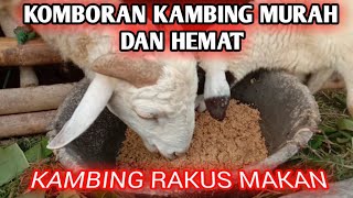 CARA MEMBERIKAN KOMBORAN UNTUK KAMBING DAN DOMBA|| #PAKSUKIS #KOMBORANKAMBING #TERNAKKAMBING