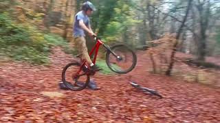 Standish woods - MTB jump