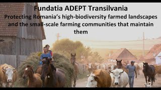 Cristi Gherghiceanu of ADEPT on High Nature Value Farming in Romania