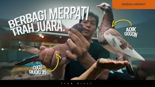 MERPATI PIYIK INI TOLONG DI RAWAT YAH..