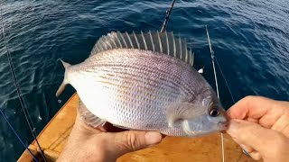 The Fish Go Nuts! I clear my bait freezer out | Man Alone