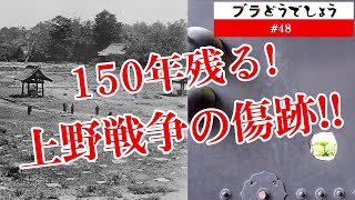 【驚愕】150年残る!上野戦争の傷跡!! ブラどうでしょう #48