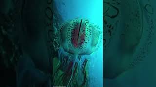 jellyfish 🎐 #jellyfish #sea #travel #shorts #youtubeshorts  📍Papua New Guinea