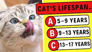 How Much Do You Know About Cats🐱? Cat Trivia Quiz Game🥇💯