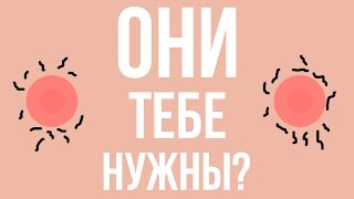 5 ЧАСТЕЙ ТЕЛА, без которых ВЫ СМОЖЕТЕ ПРОЖИТЬ!