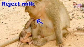 Tara bite baby Titan to block milk, Baby Titan very active leave mom hug pigtail Bella so adorable