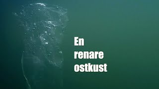 En renare ostkust