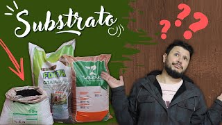 QUAL TERRA USAR NAS PLANTAS - TERRA VEGETAL, SUBSTRATO, VERMELHA??