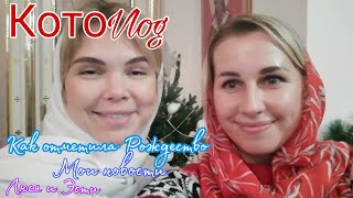 Vlog🌹котики и новости🐱☺️