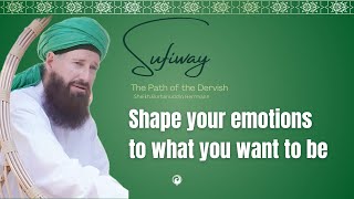 THE DERVISH DIARY -  SHAPE YOUR EMOTIONS TO WHAT YOU WANT TO BE