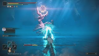 Comet Azur Wizard vs Metyr, Mother of Fingers Elden Ring DLC Shadow of the Erdtree