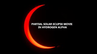 Partial Solar Eclipse 2020  Movie in Hydrogen Alpha 5K | Prabhu Astrophotography