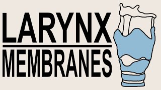 Larynx Lecture Series : Membranes