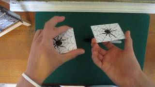 This is how you get rid of spiders(using magic).