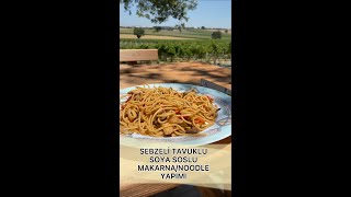 Soya soslu sebzeli ve tavuklu makarna/noodle yapımı