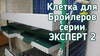 Клетка для Бройлеров серии ЭКСПЕРТ 2