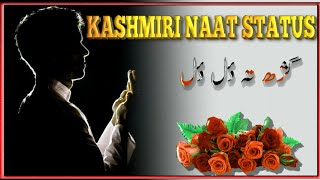 ❣️Kashmiri Whatsapp Status | New Kashmiri Naat (Dua) Status | Kashmiri Naat Status | Black Screen 💕