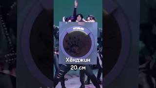 размер ладоней участников stray kids #straykids #кпоп #рекомендации #skz #стрей