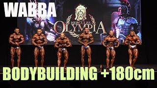 WABBA Hercules Olympia Bodybuilding +180 cm