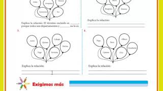 EL TÉRMINO EXCLUIDO