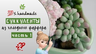 Суккуленты из холодного фарфора. A succulent of cold porcelain.