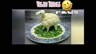 Vegan Things