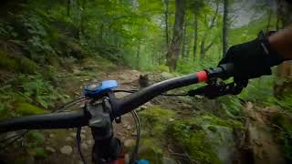 Vélo de montagne, EMTB, Vallée Bras-du-Nord, Connecteur,   Nelson Sud, Specialized Turbo Levo 2022