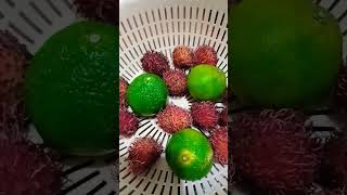 OUR FAVE: RAMBUTAN & DALANDAN #asmr #yummy