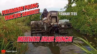 Melewati jalur sungai !!! Perjalanan pulang Traktor sawah yanmar tf 85