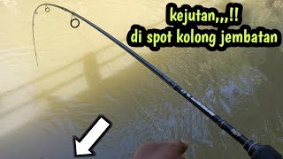 Mancing kakap putih di kolong jembatan pakai pelampung umpan udang hidup