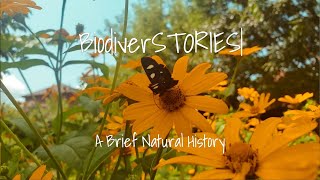 BiodiverSTORIES: A Brief Natural History with Mark Forbes