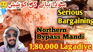 1800000 lgadia | Bargaining 🔥 Soda hotay hoty Reh gaya | Northern bypass Mandi Latest Rates Update