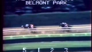 Prove Out   1973 Woodward Stakes   YouTube