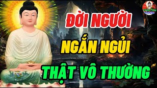 Đời Người Ngắn Ngủi Sinh Mệnh Vô Thường - Hãy Sống Trọn Vẹn Trong Từng Khoảng Khắc Và Có Ý Nghĩa