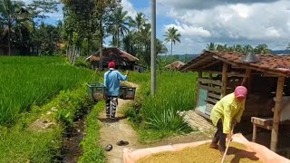 pesona pelosok desa yang sejuk jajan kue tradisional