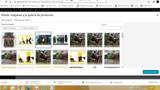 subir productos tienda woocommerce wordpress